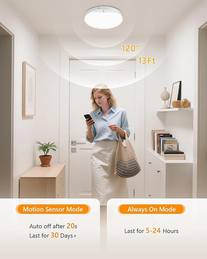 Motion Sensor Ceiling Light Pro™