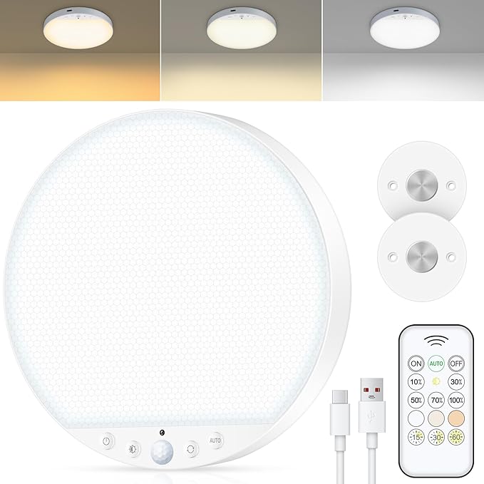 Motion Sensor Ceiling Light Pro™