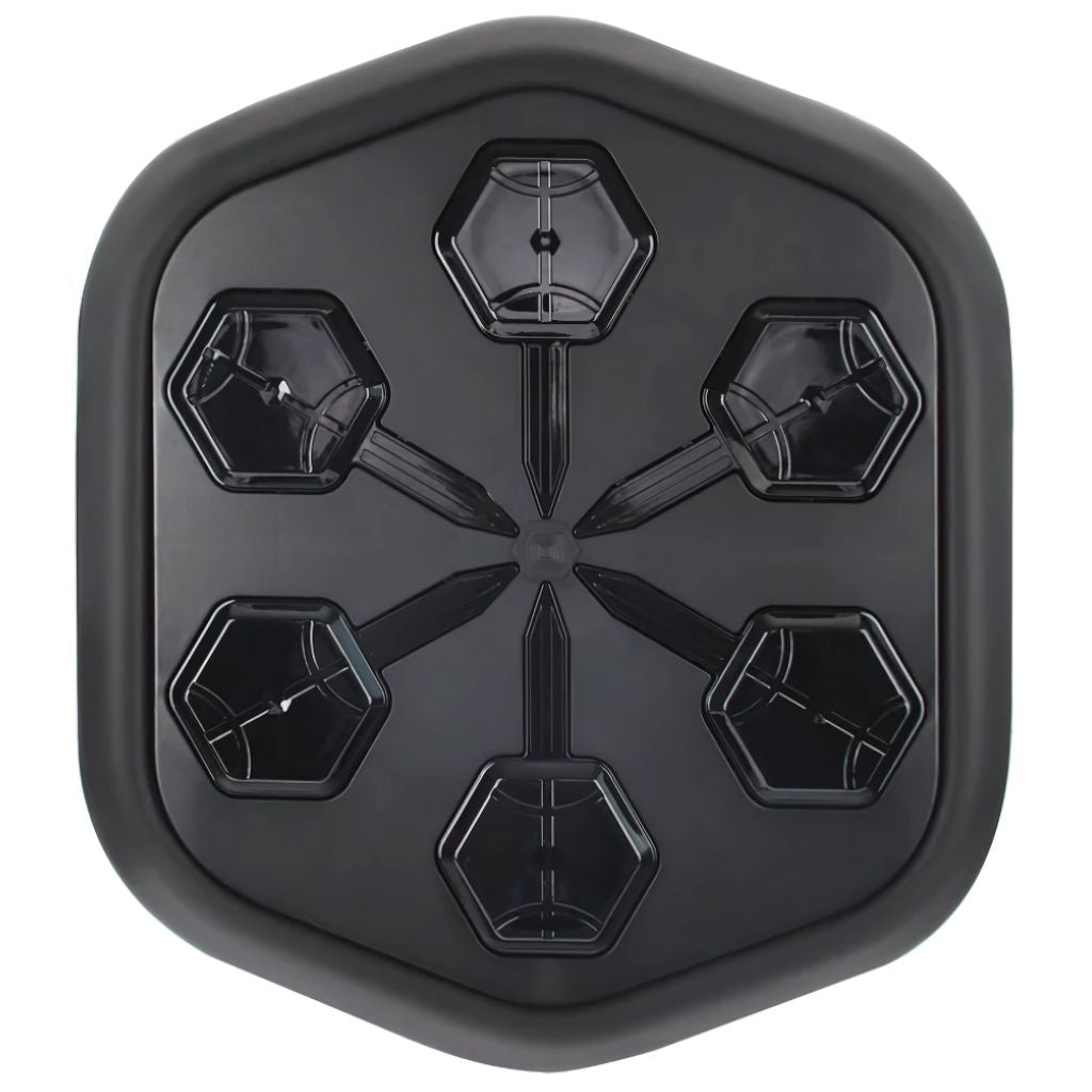 RhythmPunch Pro